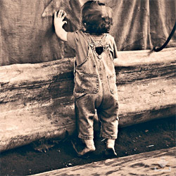 服务器攻击软件